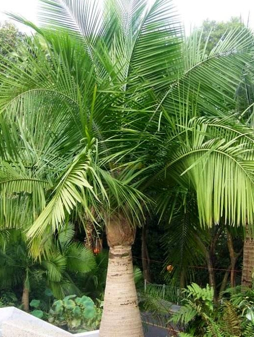 1726732191398961.png 微信截图_20240918153912.png