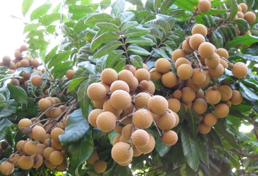 1730795020555814.png 微信截图_20241101164750.png