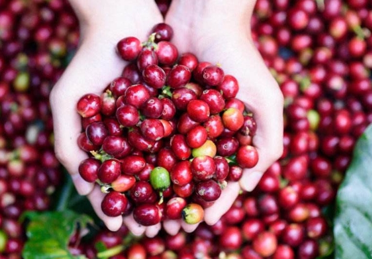 1730873506768372.png 微信截图_20241105104448.png