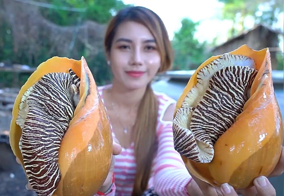 1734418954937763.png 微信截图_20241216102428.png