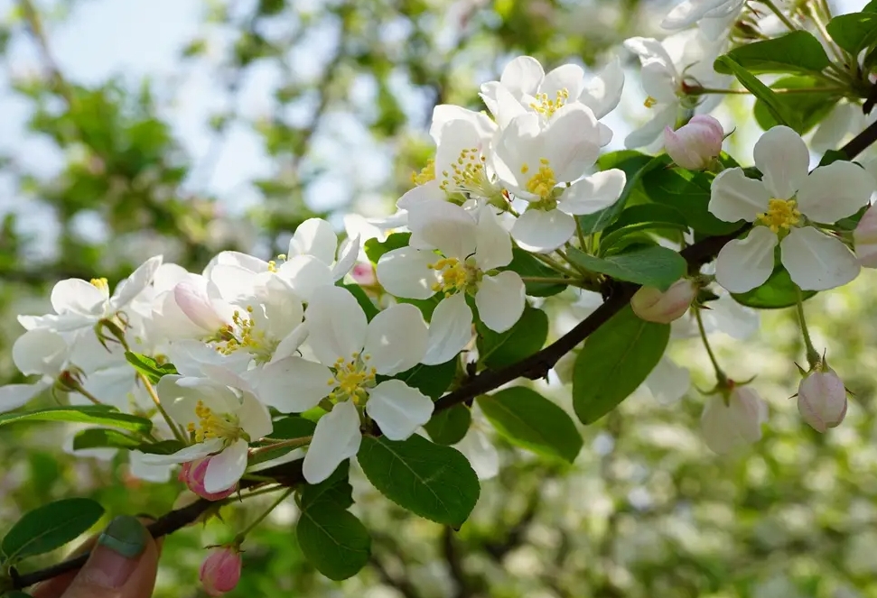 1734943246596418.png 微信截图_20241219114015.png