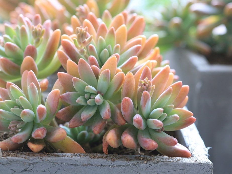 1735201373612815.png 微信截图_20241223145622.png