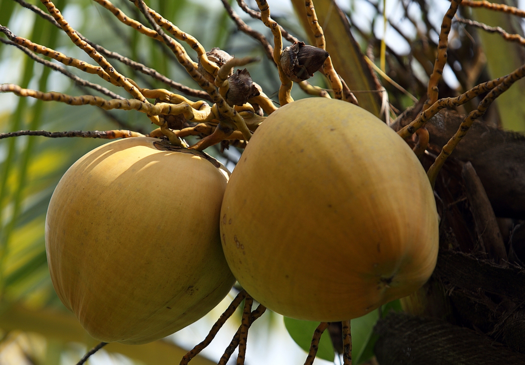 1735538994516805.png 微信截图_20241230110957.png