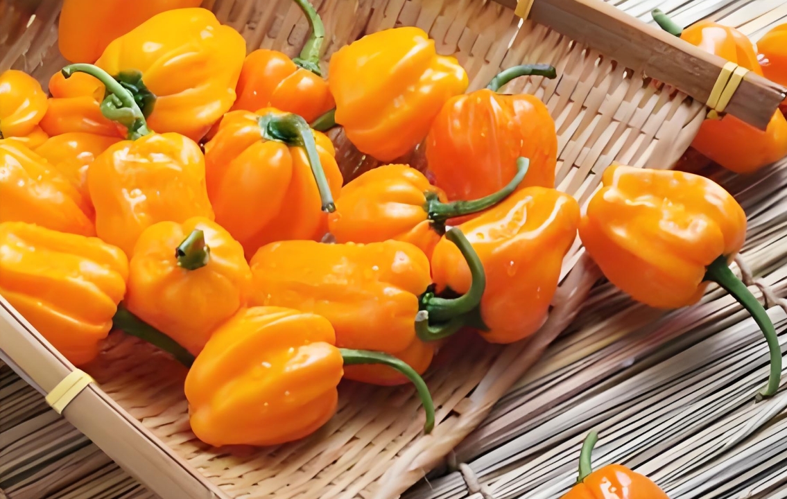 1735624629699187.png 微信截图_20241230135014.png