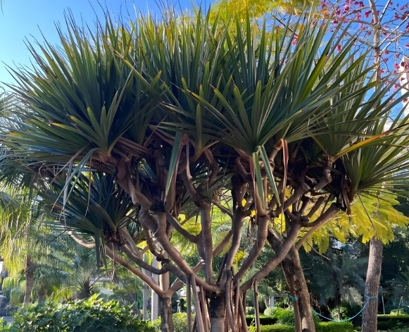 1735800481233906.png 微信截图_20241231154926.png