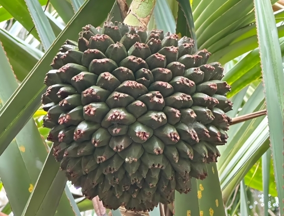 1735800497184243.png 微信截图_20241231154902.png