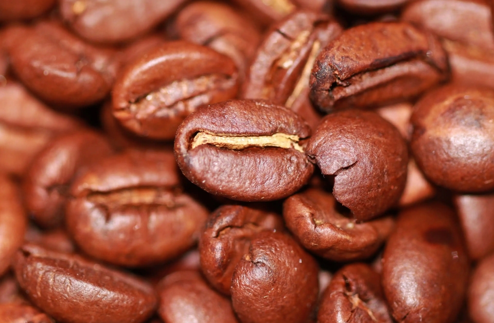 1735893383949455.png 微信截图_20241231160019.png