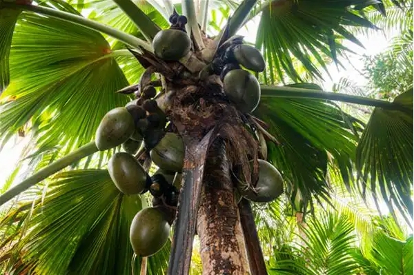 1736409408106558.png 微信截图_20250106113710.png