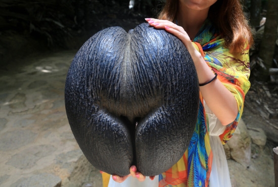 1736409413754064.png 微信截图_20250106113600.png