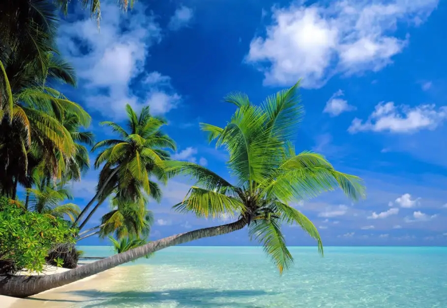 1736924310164117.png 微信截图_20250114110508.png