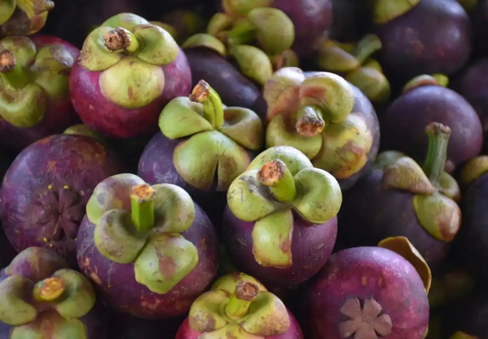 1739342795809393.png 微信截图_20250212110917.png