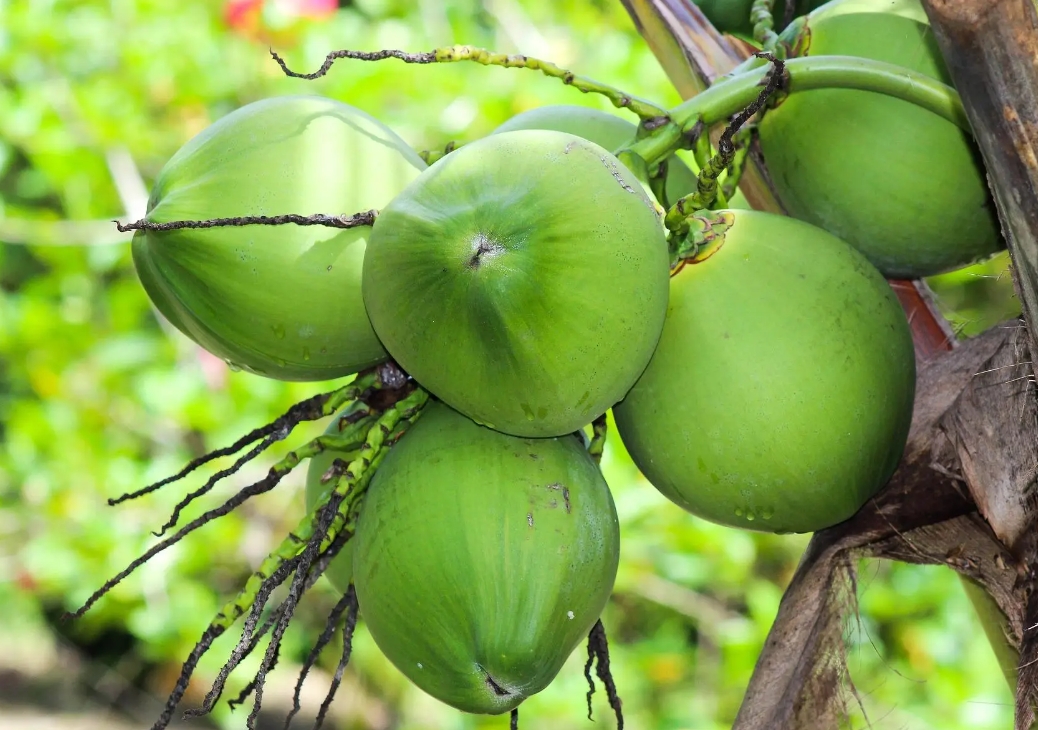 1739344299107461.png 微信截图_20250212111213.png