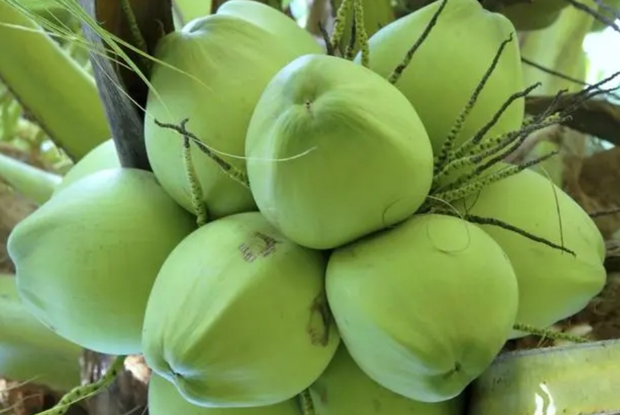 1739521318794043.png 微信截图_20250214111753.png