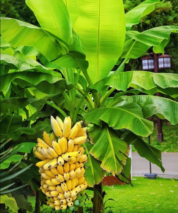 1739605569821634.png 微信截图_20250214120220.png