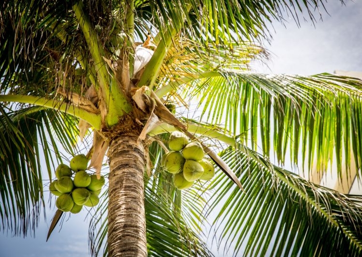 1739779665113808.png 微信截图_20250217142640.png