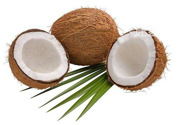 海南特产制品：椰子制品